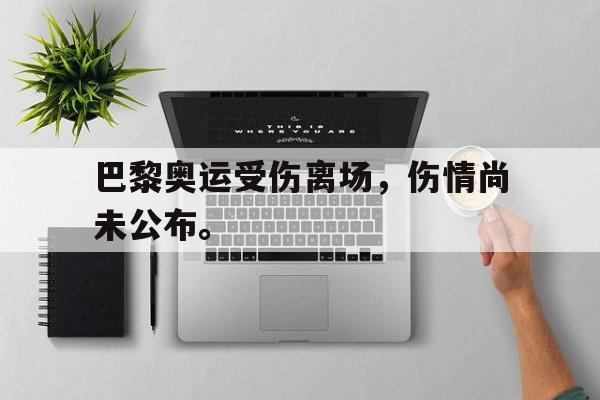 IM体育平台博彩-巴黎奥运受伤离场，伤情尚未公布。