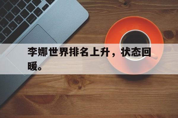 IM官网-李娜世界排名上升，状态回暖。